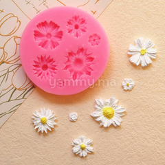 Moule Silicone 6 Fleurs