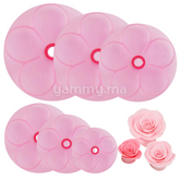 SET. 6 Emport-pièces Rose