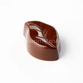 Moule Chocolat en Polycarbonate Praline Garden (x24) "PC5074" - Pavoni