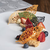 Moule Silicone Plume "GG028" - Pavoni