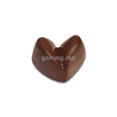 Moule Chocolat en Polycarbonate "PC58" - Pavoni