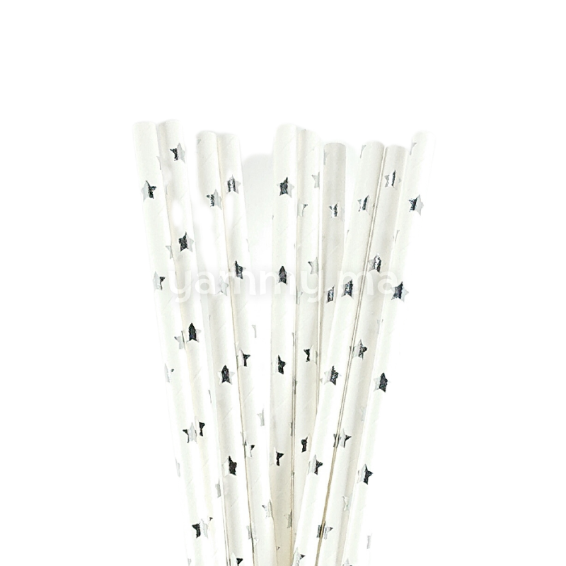 25 Pailles Papier pour Cake Pops Blanc avec Étoiles Argents