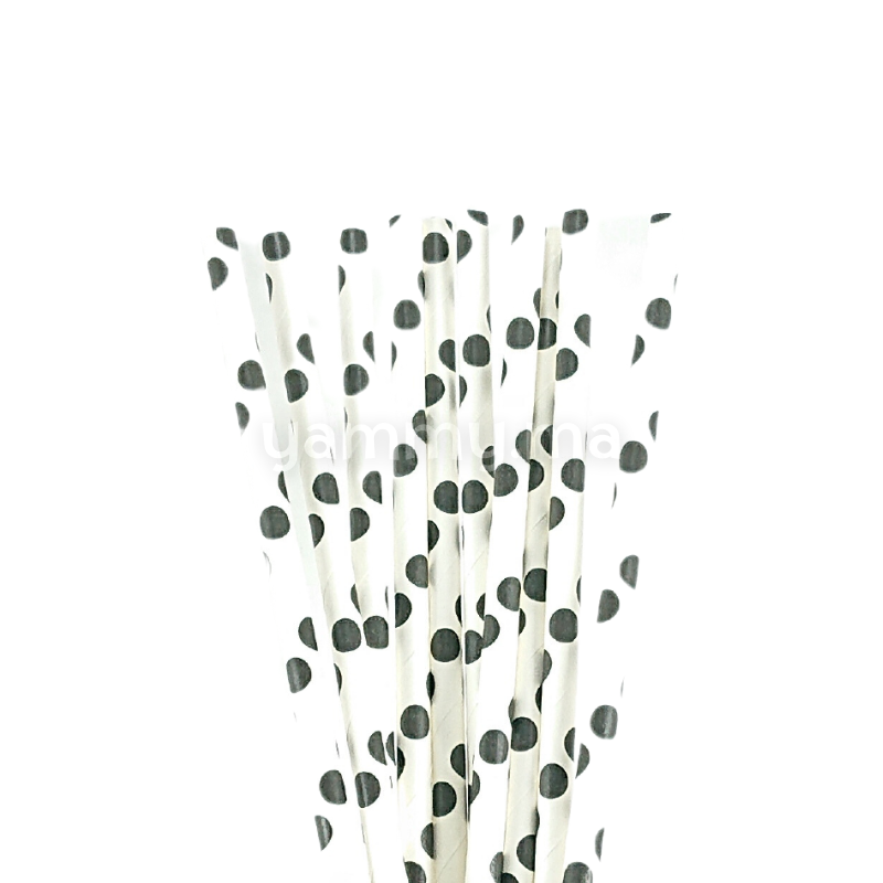 25 Pailles Papier pour Cake Pops Blanc avec Cercles Noir