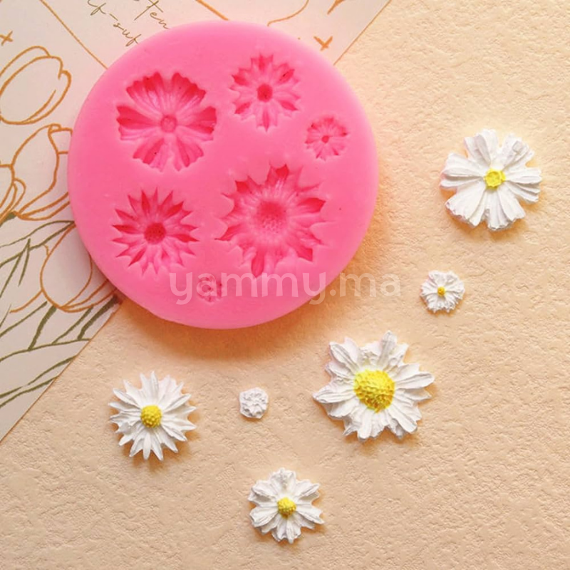 Moule Silicone 6 Fleurs