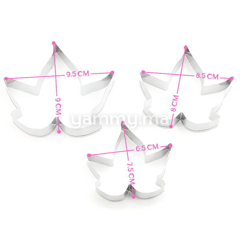 SET. 3 Emporte-pièces Feuille de Lierre en Inox