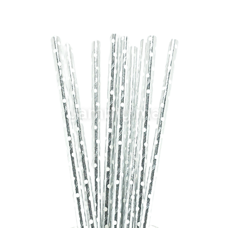 25 Pailles Papier pour Cake Pops Argent avec Cercles blanc