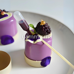 Mini Pipettes Oval à presser jetables en plastique 4ml 20 Pcs