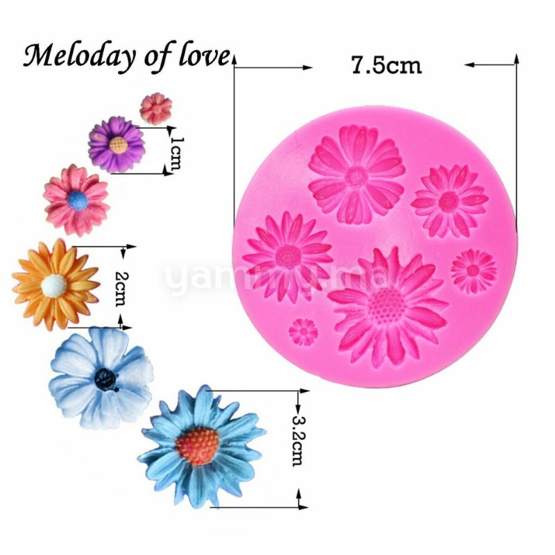 Moule Silicone 6 Fleurs