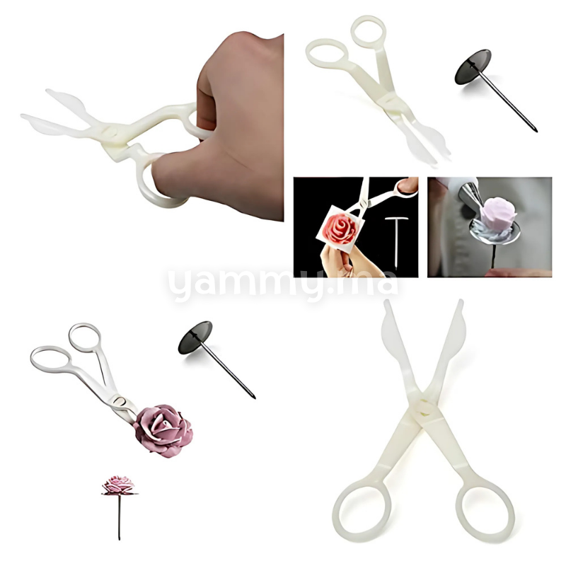 Ciseaux à Fleurs avec Clou et 2 Douilles en Inox