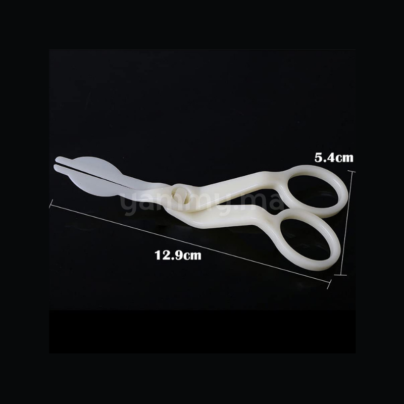 Ciseaux à Fleurs avec Clou et 2 Douilles en Inox