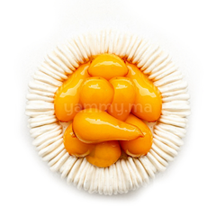 Moule Silicone Charlotte Ø 18 cm "KE087" - Pavoni