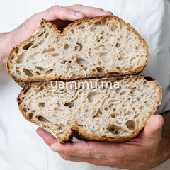 Améliorant de Pain - Perfeckt