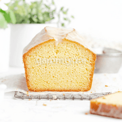 Arôme Alimentaire Concentré et Coloré Pât'Arôme Vanille 100 Gr