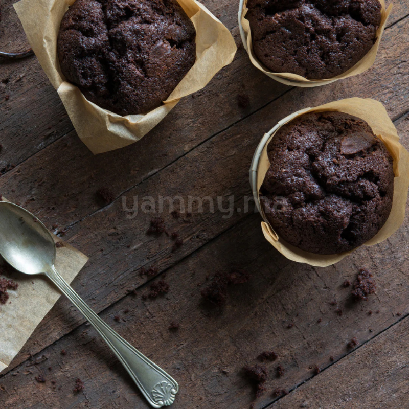 Cacao en Poudre Noir Intense 10-12% - Ecomab