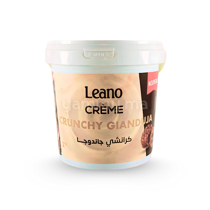 Crème Crunchy Gianduja 1 kg - Leamido Leano