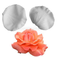 SET. 2 Moules Silicone Pétales de Fleurs & Feuilles MSP205