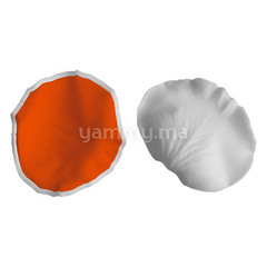 SET. 2 Moules Silicone Pétales de Fleurs & Feuilles MSP205