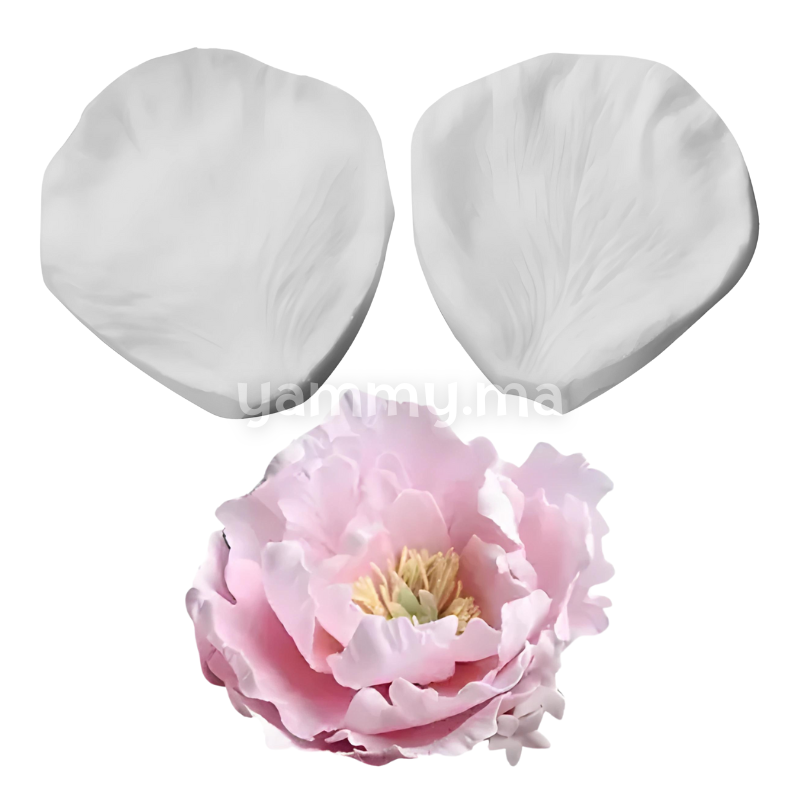 SET. 2 Moules Silicone Pétales de Fleurs & Feuilles MSP206