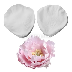SET. 2 Moules Silicone Pétales de Fleurs & Feuilles MSP206