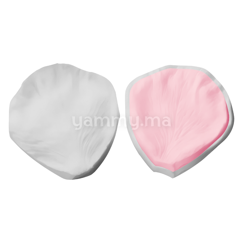 SET. 2 Moules Silicone Pétales de Fleurs & Feuilles MSP206