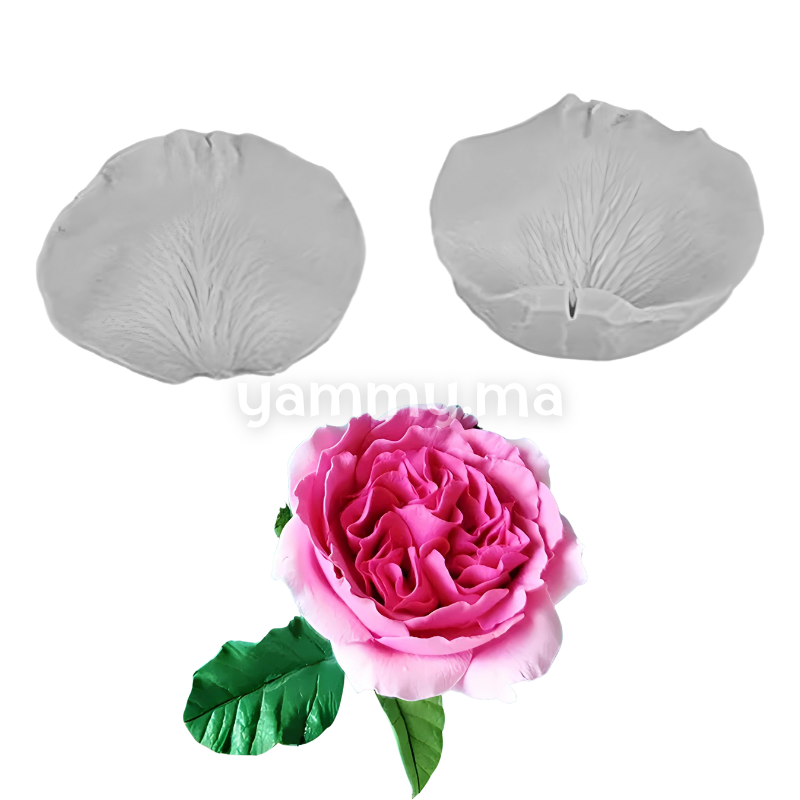 SET. 2 Moules Silicone Pétales de Fleurs & Feuilles MSP207