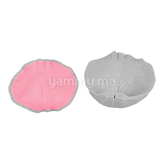 SET. 2 Moules Silicone Pétales de Fleurs & Feuilles MSP207