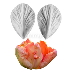 SET. 2 Moules Silicone Pétales de Fleurs & Feuilles MSP208