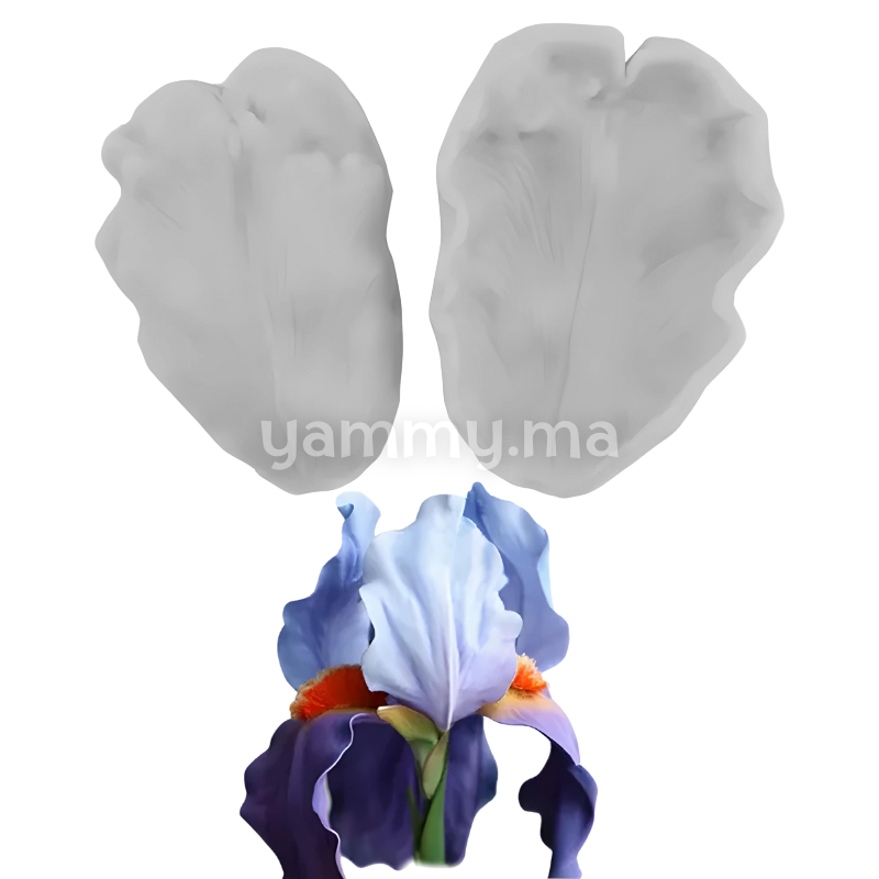 SET. 2 Moules Silicone Pétales de Fleurs & Feuilles MSP210