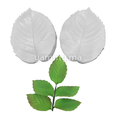 SET. 2 Moules Silicone Pétales de Fleurs & Feuilles MSP202