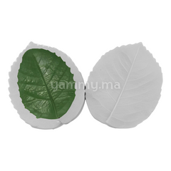 SET. 2 Moules Silicone Pétales de Fleurs & Feuilles MSP202