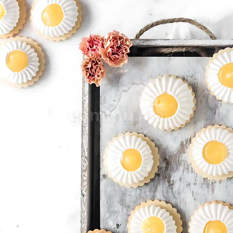 Douille Sultane Ouvert Cône Dépassant en Plastique