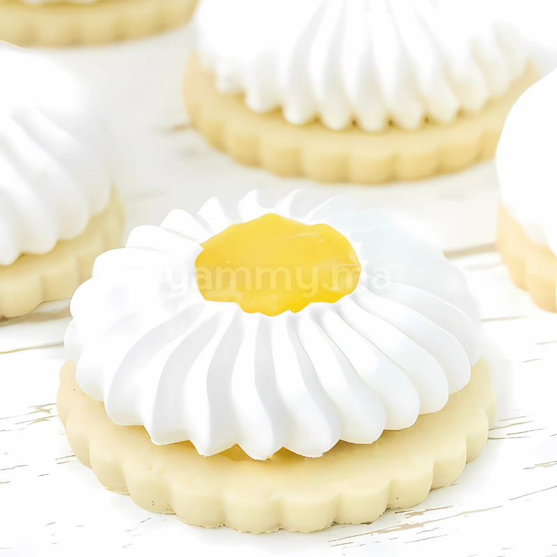 Douille Sultane Fermée Cône à Ras en Plastique