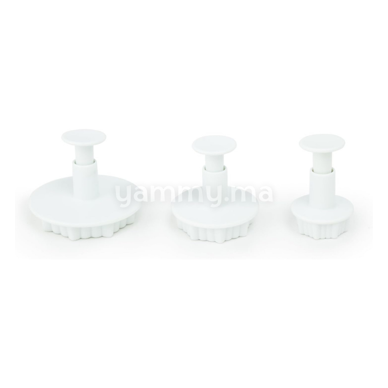 SET. 3 Emporte-pièces Fleurs Elégantes