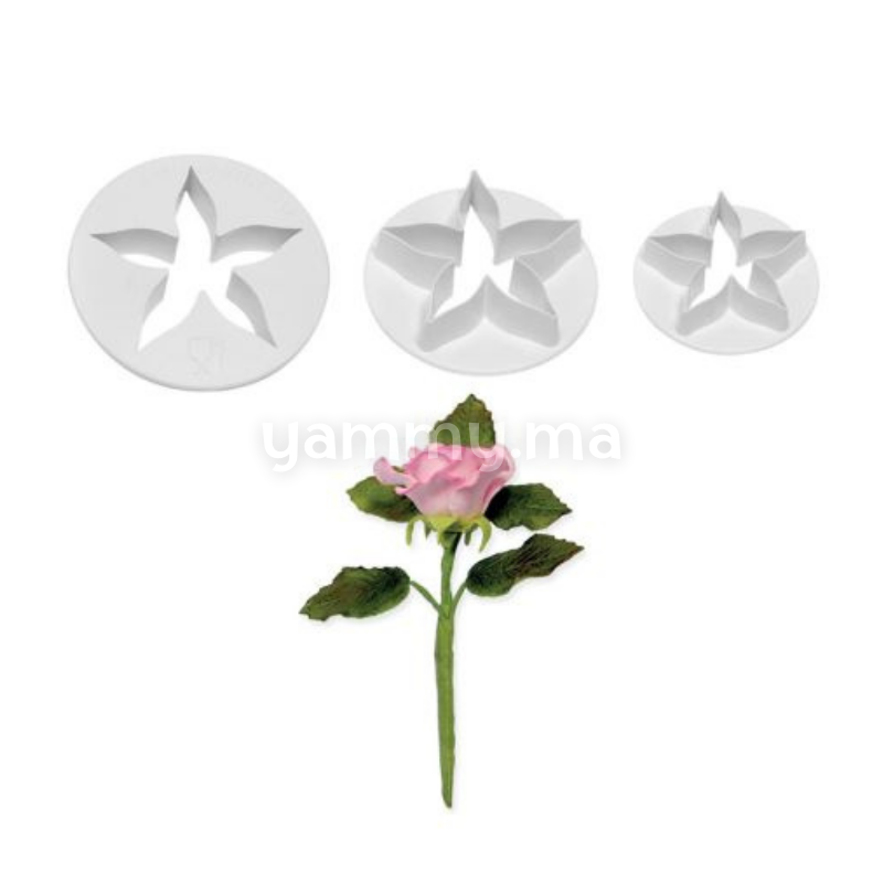 SET. 3 Emporte-pièces Feuilles