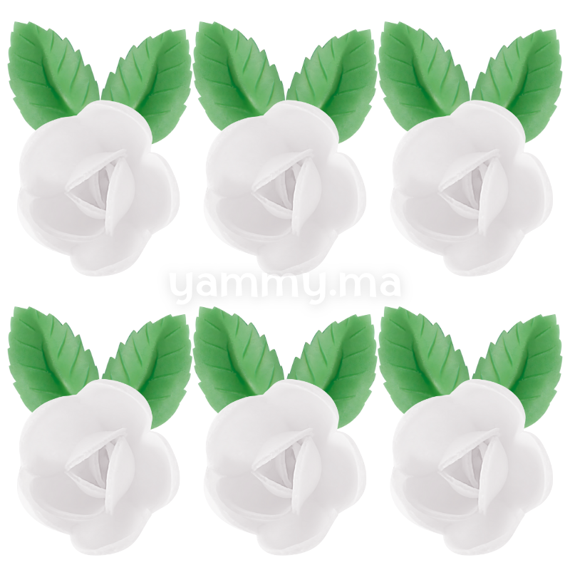 Fleurs de Rose Blanche x6 et Feuilles Vertes x12 en Azyme - Florensuc
