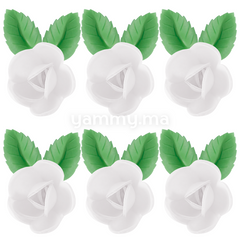 Fleurs de Rose Blanche x6 et Feuilles Vertes x12 en Azyme - Florensuc