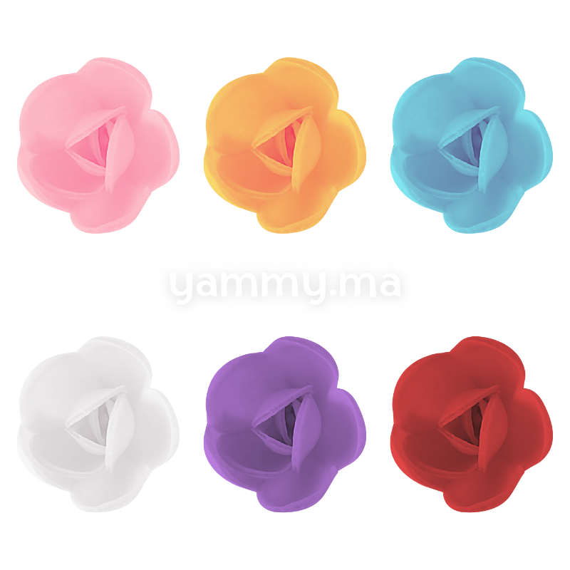 Fleurs de Rose Multicolores x6 et Feuilles Vertes x12 en Azyme - Florensuc