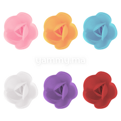 Fleurs de Rose Multicolores x6 et Feuilles Vertes x12 en Azyme - Florensuc