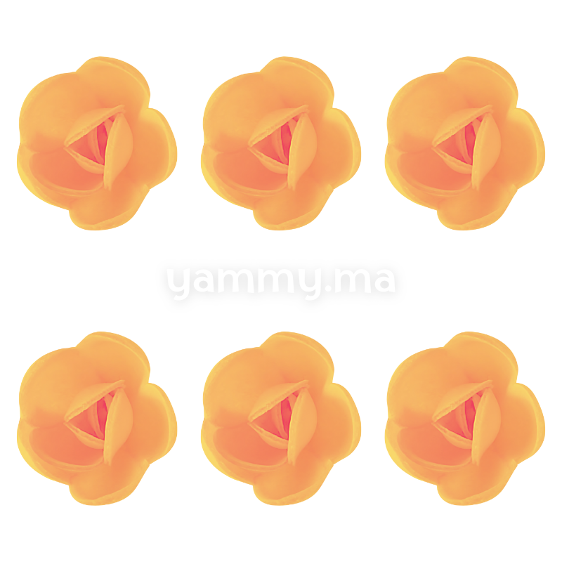 Fleurs de Rose Orange x6 et Feuilles Vertes x12 en Azyme - Florensuc