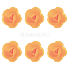 Fleurs de Rose Orange x6 et Feuilles Vertes x12 en Azyme - Florensuc