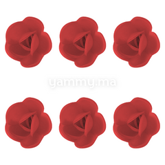 Fleurs de Rose Rouges x6 et Feuilles Vertes x12 en Azyme - Florensuc