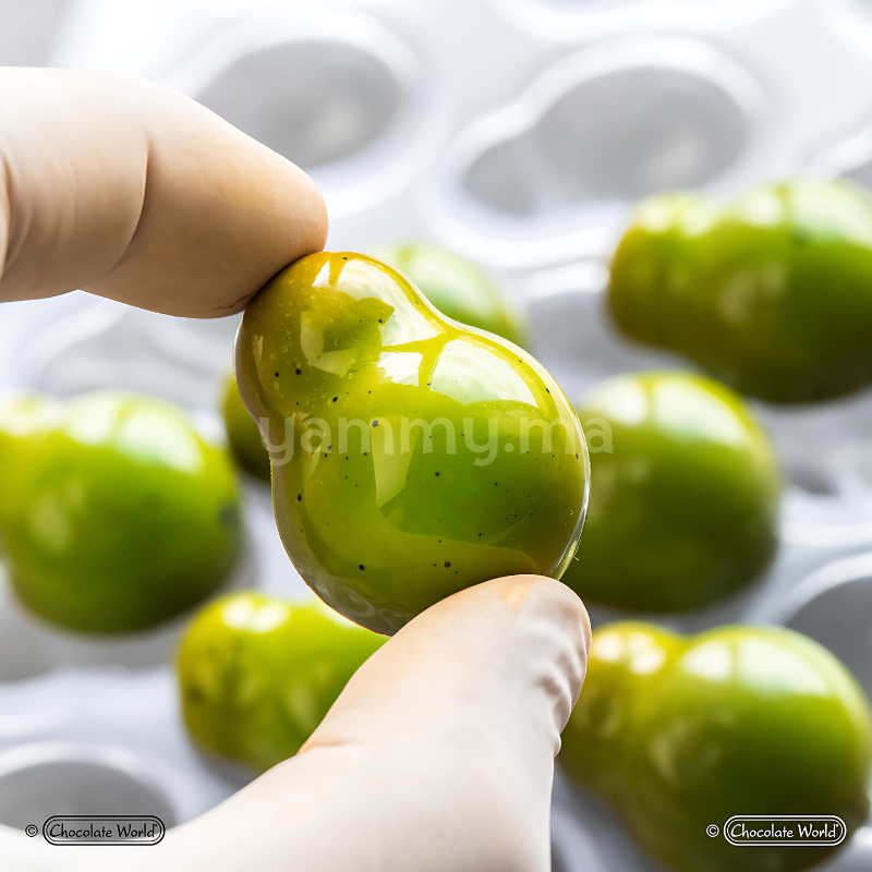 Moule Chocolat en Polycarbonate Andrey Dubovik (x21) "CW1921" - Chocolate World