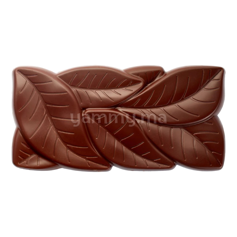 Moule Chocolat en Polycarbonate Tablette Garden 100 gr (x3) "PC5077" - Pavoni