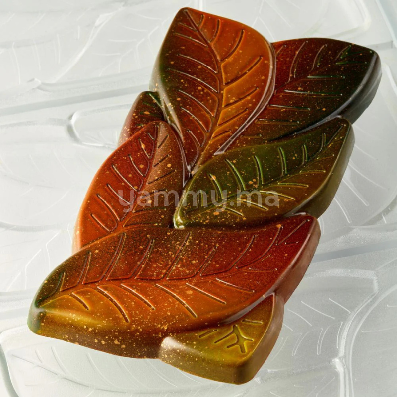 Moule Chocolat en Polycarbonate Tablette Garden 100 gr (x3) "PC5077" - Pavoni