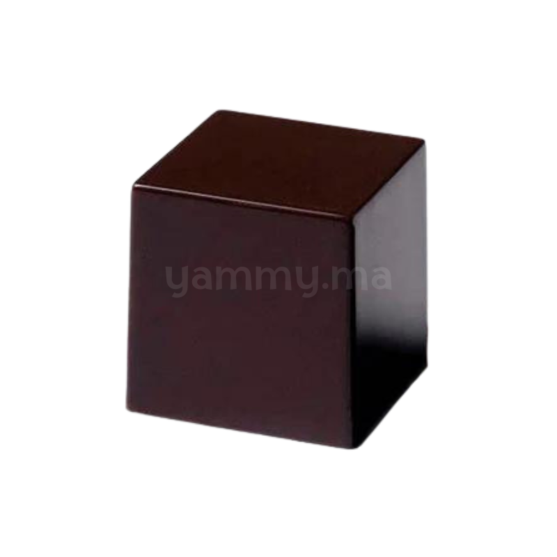 Moule Chocolat en Polycarbonate Cube "PC5062" - Pavoni