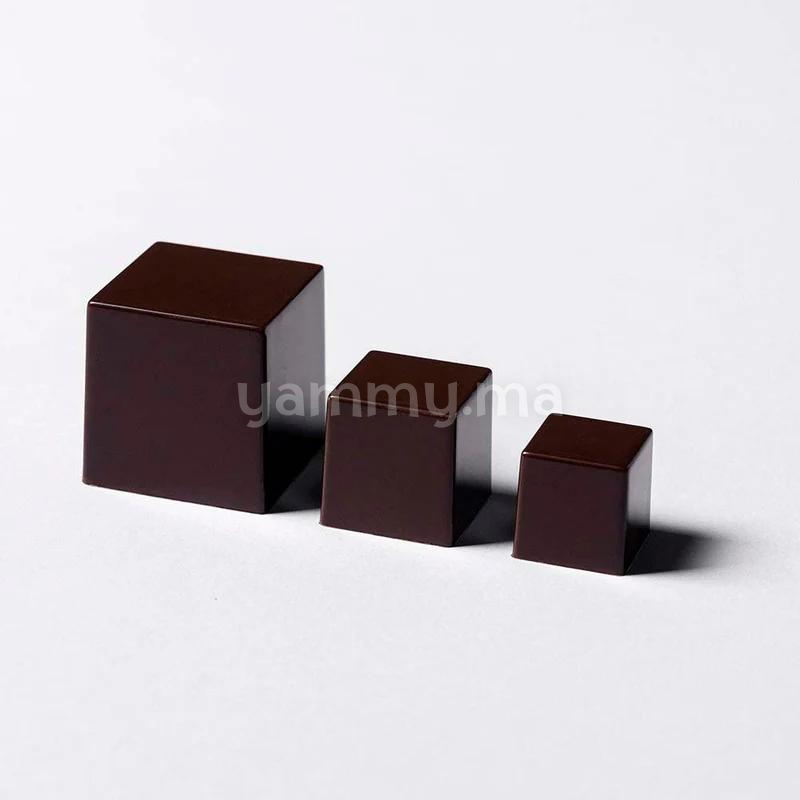 Moule Chocolat en Polycarbonate Cube "PC5062" - Pavoni