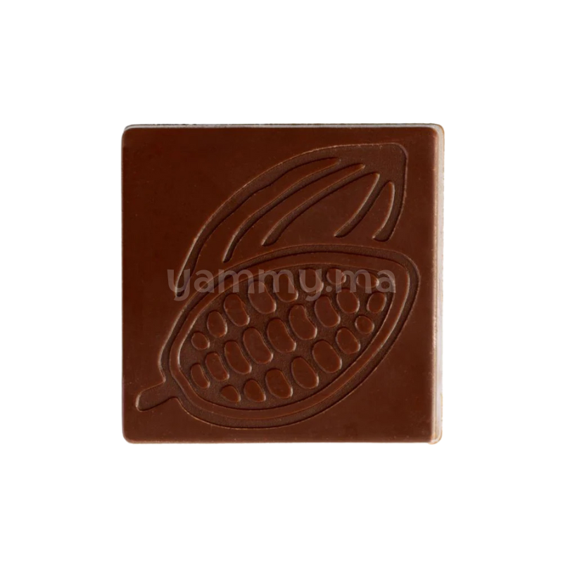 Moule Chocolat en Polycarbonate Napolitain 3.2 x 3.2 cm (x24) "PC5081" - Pavoni