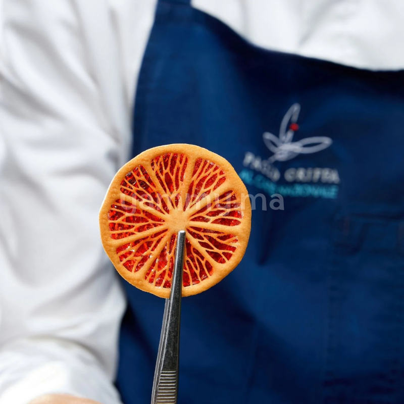 Moule Silicone Agrumes Citrus Ø 6 cm (x12) "GG078" - Pavoni