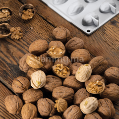 Moule Silicone Coquille de Noix (x18) "GG015" - Pavoni