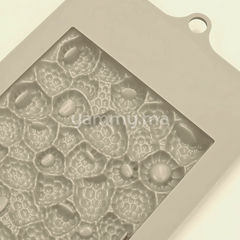 Moule Silicone Tablettes de Chocolat Framboises